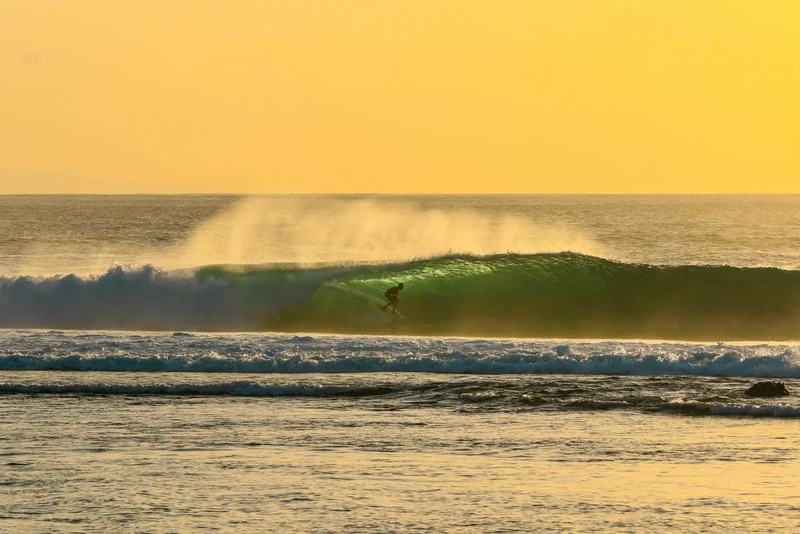 A surfer riding a green wave in golden evening light